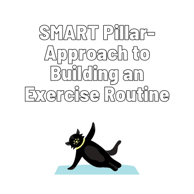 The 6 SMART pillar approach to building an exercise routine
