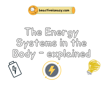 explain the energy systems in the body