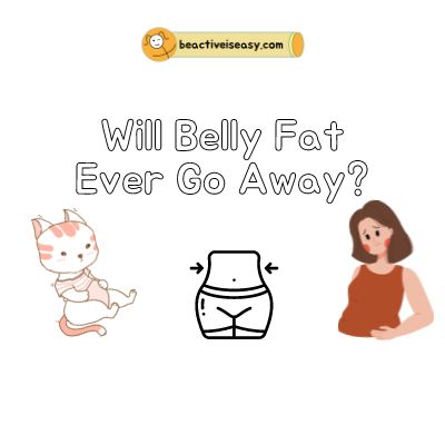 will belly fat ever go away with cat upset at belly